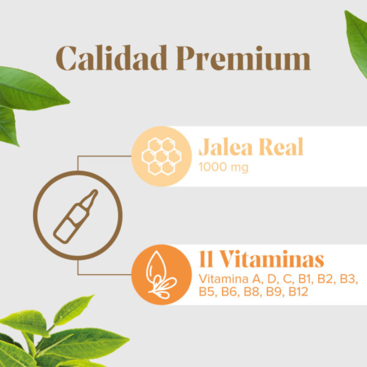 Arkopharma ArkoReal Vitadefensas Vit. B y C SIN AZÚCAR 20 Ampollas
