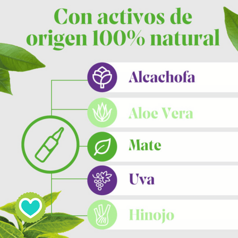 Image of Arkofluido Alcachofa Forte + Aloe Vera 20 ampollas