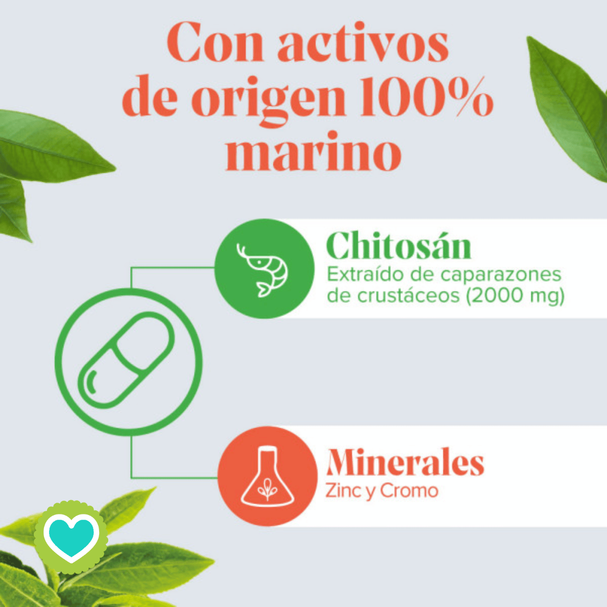 CHITOSAN EXTRA FORTE 500 mg - 60 cáps.