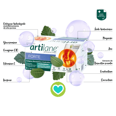Image of Artilane Forte 15 Viales