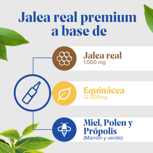 Arkopharma ArkoReal Jalea Real Inmunidad Sin Azúcar 20 Ampollas