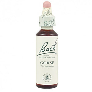 Bach 13 Gorse 20ml