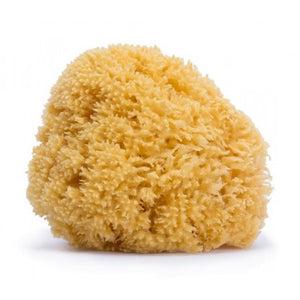 Suavinex Esponja Natural Grande